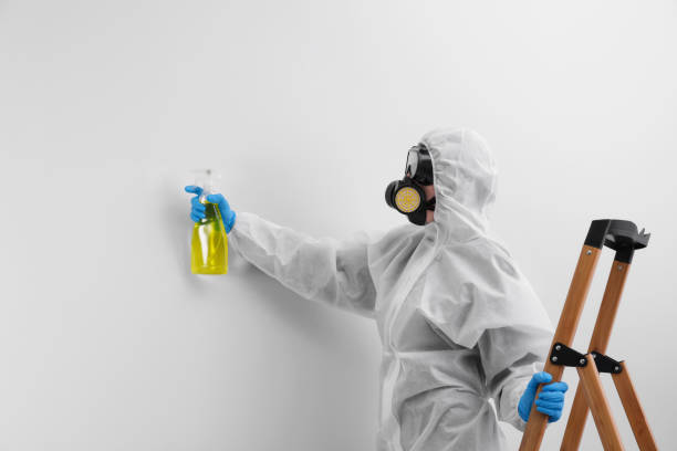 Why You Should Choose Our Mold Remediation Services in Tome, NM